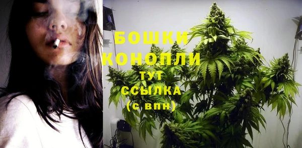 твердый Белокуриха