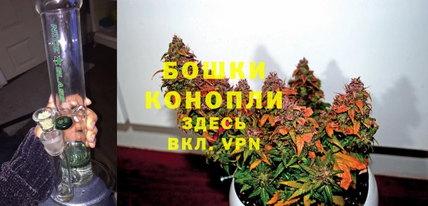 твердый Белокуриха