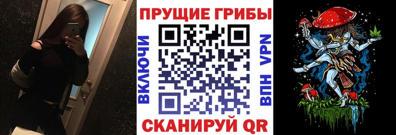 kraken ONION  Нижний Новгород  Псилоцибиновые грибы мухоморы 